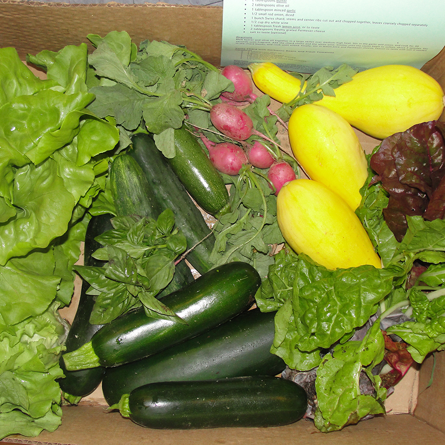 Csa Shares Offer Convenient Pickup Your Local Y Hockomock Area